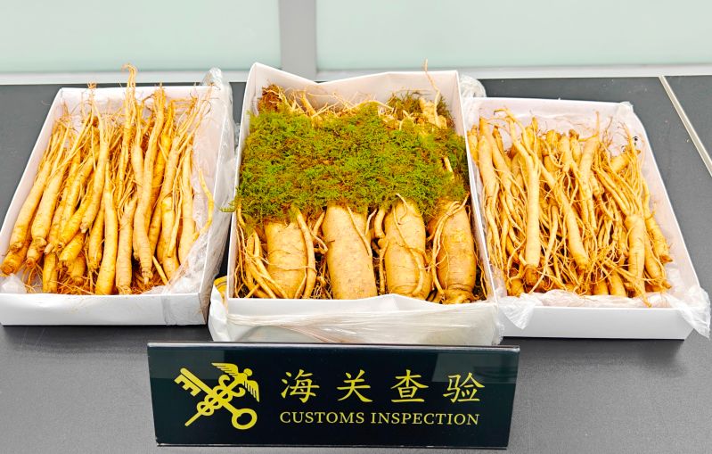 “中國制造”超大設備起航“冰上絲綢之路”（圖）